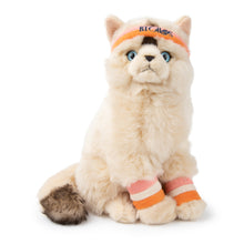 Load image into Gallery viewer, Bon Ton Toys - Dolly The Ragdoll