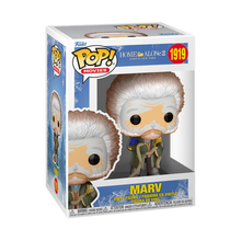 Load image into Gallery viewer, Funko Pop - Marv Home Alone 2