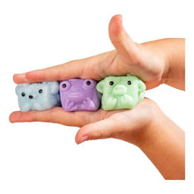 Load image into Gallery viewer, Mushykinz - Mini Mystery Mushy 3-Pack