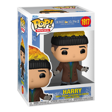 Load image into Gallery viewer, Funko Pop - Harry Home Alone 2