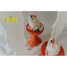 Load image into Gallery viewer, Bon Ton Toys - Dolly The Ragdoll