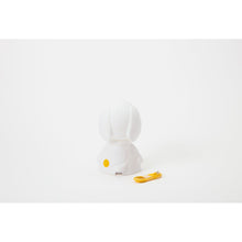 Load image into Gallery viewer, Mr Maria - Snoopy First Light
