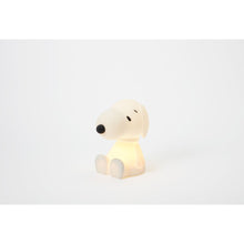 Load image into Gallery viewer, Mr Maria - Snoopy First Light