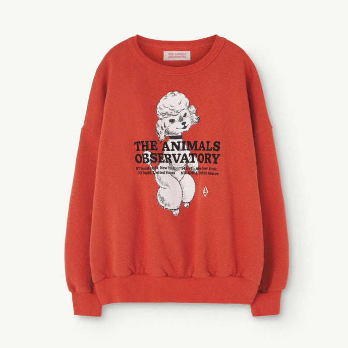 The Animals Observatory - red sweatshirt with vintage style poodle print