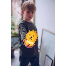 Load image into Gallery viewer, Mr Maria - Lion Bundle of Light