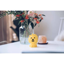 Load image into Gallery viewer, Mr Maria - Lion Bundle of Light