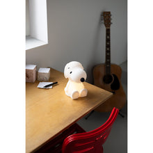 Load image into Gallery viewer, Mr Maria - Snoopy First Light