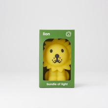Load image into Gallery viewer, Mr Maria - Lion Bundle of Light