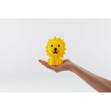 Load image into Gallery viewer, Mr Maria - Lion Bundle of Light