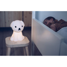 Load image into Gallery viewer, Mr Maria - Snuffy First Light