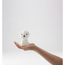 Load image into Gallery viewer, Mr Maria - Snuffy Bundle of Light