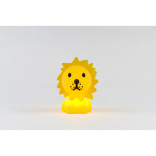 Load image into Gallery viewer, Mr Maria - Lion Bundle of Light