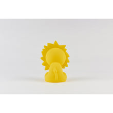Load image into Gallery viewer, Mr Maria - Lion Bundle of Light