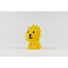 Load image into Gallery viewer, Mr Maria - Lion Bundle of Light