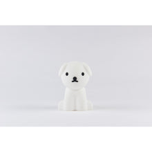 Load image into Gallery viewer, Mr Maria - Snuffy Bundle of Light