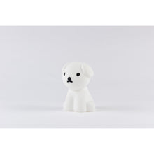 Load image into Gallery viewer, Mr Maria - Snuffy Bundle of Light