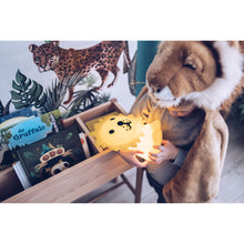 Load image into Gallery viewer, Mr Maria - Lion First Light