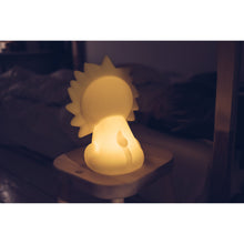 Load image into Gallery viewer, Mr Maria - Lion First Light