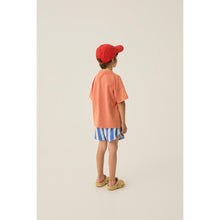 Load image into Gallery viewer, The Campamento - Blue Stripe Shorts