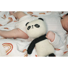 Load image into Gallery viewer, Sootie Limetree - Lambswool Panda Toy