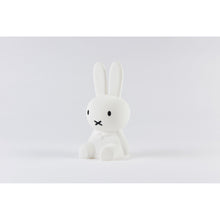 Load image into Gallery viewer, Mr Maria - Miffy Bundle of Light