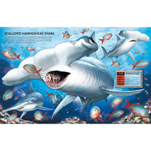 Load image into Gallery viewer, Build Your Own Sea Creatures Sticker Book