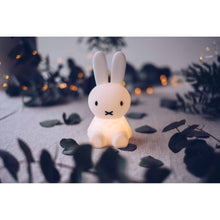 Load image into Gallery viewer, Mr Maria - Miffy Bundle of Light