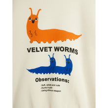 Load image into Gallery viewer, Mini Rodini - Velvet Worm Sweatshirt

