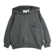 Load image into Gallery viewer, Mini Rodini - Field Notes Embroidered Hoodie
