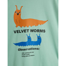 Load image into Gallery viewer, Mini Rodini - Velvet Worm T-shirt
