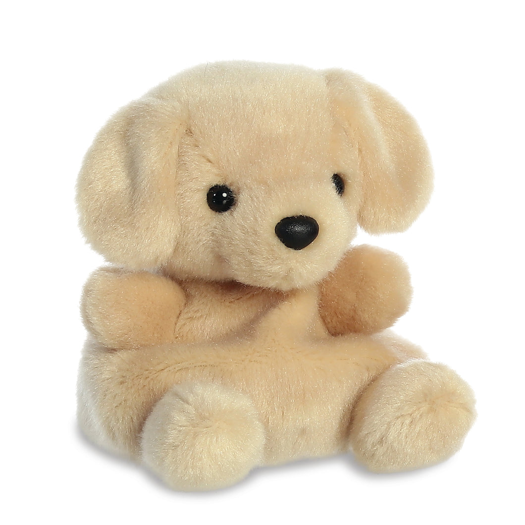 Palm Pals - Sunny the Labrador Soft Toy