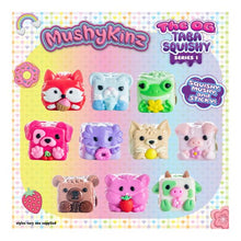 Load image into Gallery viewer, Mushykinz - OG Taba Squishy
