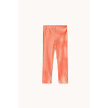 Load image into Gallery viewer, Tinycottons - Shiny Stripe Leggings
