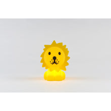 Load image into Gallery viewer, Mr Maria - Lion Bundle of Light
