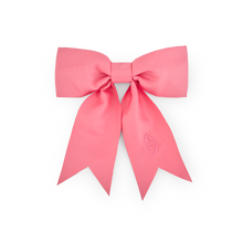 Load image into Gallery viewer, The Animals Observatory - Pink Hair Clip
