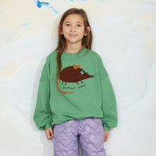 Load image into Gallery viewer, Mini Rodini - Elephant Shrew Chenille Sweatshirt
