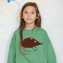 Load image into Gallery viewer, Mini Rodini - Elephant Shrew Chenille Sweatshirt
