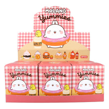 Load image into Gallery viewer, Molang Yummies Blind Box
