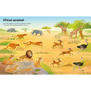 First Sticker Book - Wild Animals